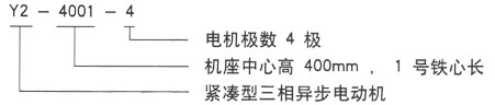 Y2系列三相異步電機(jī)技術(shù)參數(shù)——西安泰富西瑪電機(jī)(西安西瑪電機(jī)集團(tuán)股份有限公司)官方網(wǎng)站 Y2系列三相異步電機(jī)技術(shù)參數(shù)——西安泰富西瑪電機(jī)(西安西瑪電機(jī)集團(tuán)股份有限公司)官方網(wǎng)站