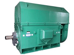 Y系列高壓三相異步電機——西安泰富西瑪電機(西安西瑪電機集團股份有限公司)